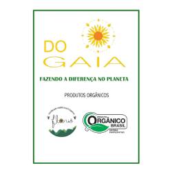 Logo Do Gaia